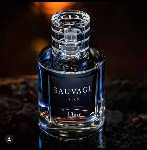 baccarat rouge 540 vs dior sauvage|baccarat rouge 540.